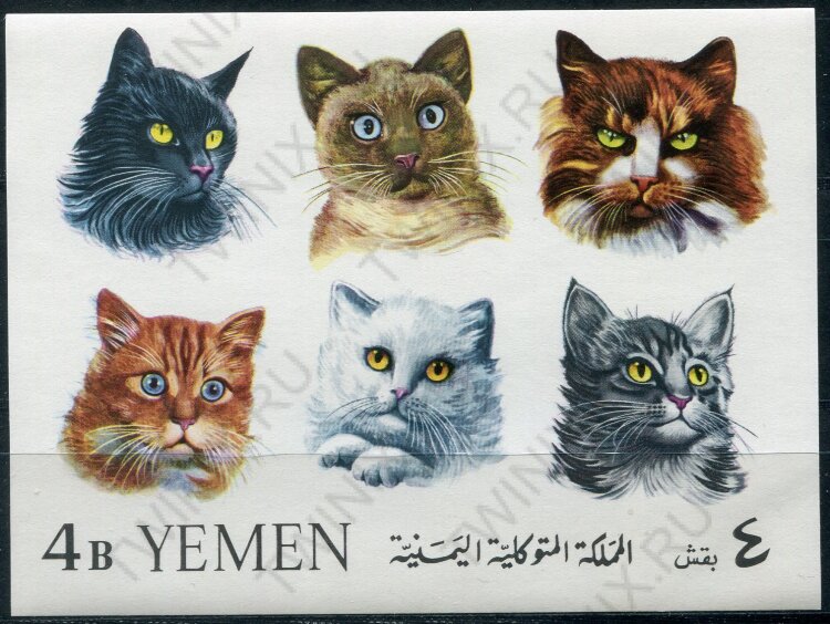 Йемен 1965г. Кошки . БЛ(1) 